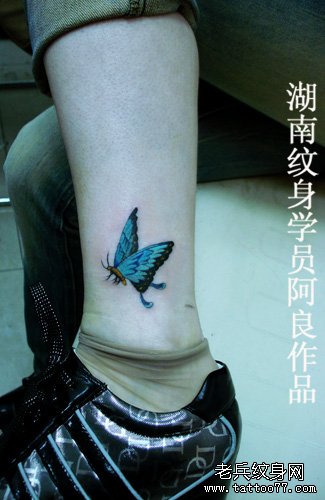 湖南纹身培训学员阿良蝴蝶纹身图案作品