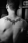一款体现男士帅气的后背图腾翅膀纹身图案作品