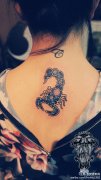 女性背部星空小天蝎纹身图案