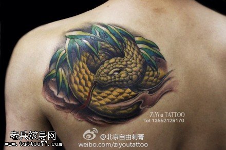 肩部惊艳华丽蟒蛇抱团纹身图案