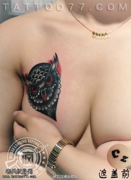 胸部猫头鹰纹身作品遮盖旧纹身