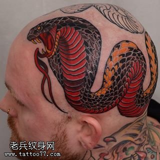 头部的蟒蛇纹身图案