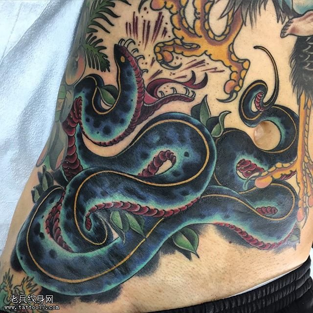 腹部的一条蟒蛇纹身图案