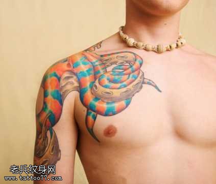 肩膀彩色花蛇创意纹身图案