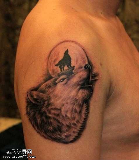 手臂狼头纹身图案