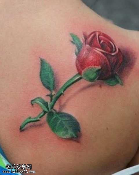 迷人的玫瑰花纹身图案