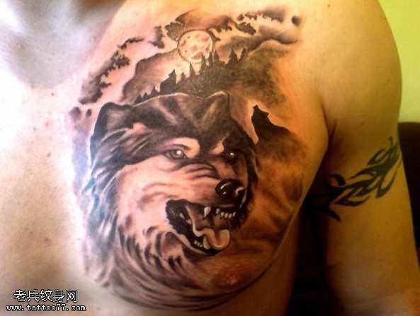 胸部霸气个性的狼头纹身图案