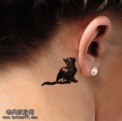 黑猫看纹身图案