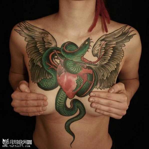 胸部蛇翅膀纹身图案