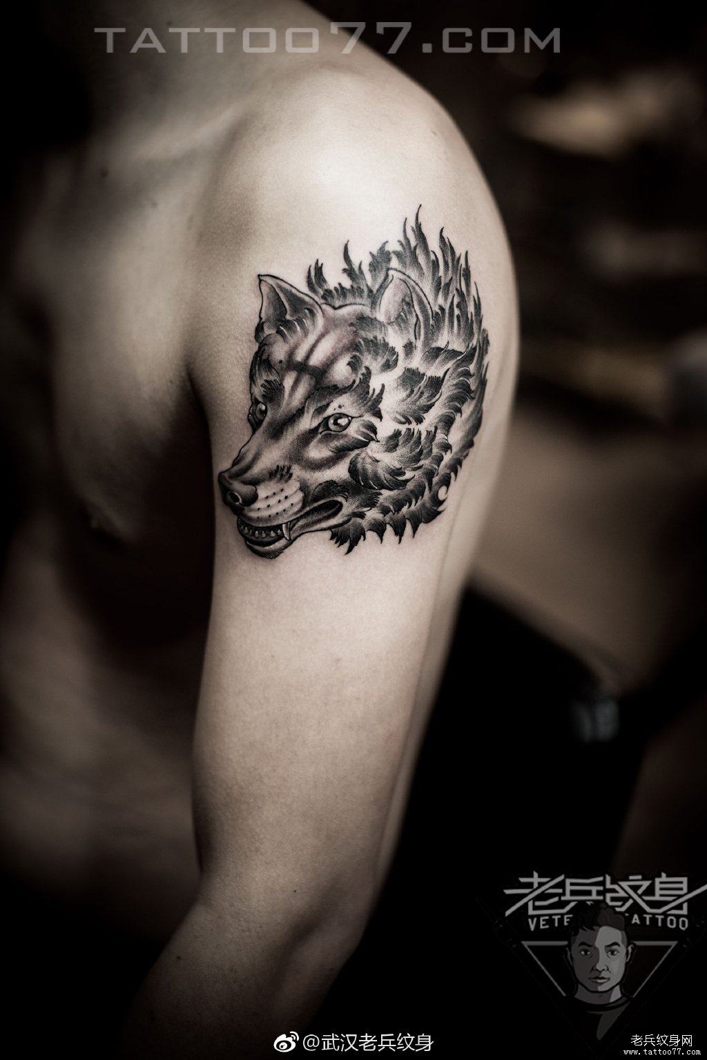手臂狼头纹身图案作品武汉纹身店打造