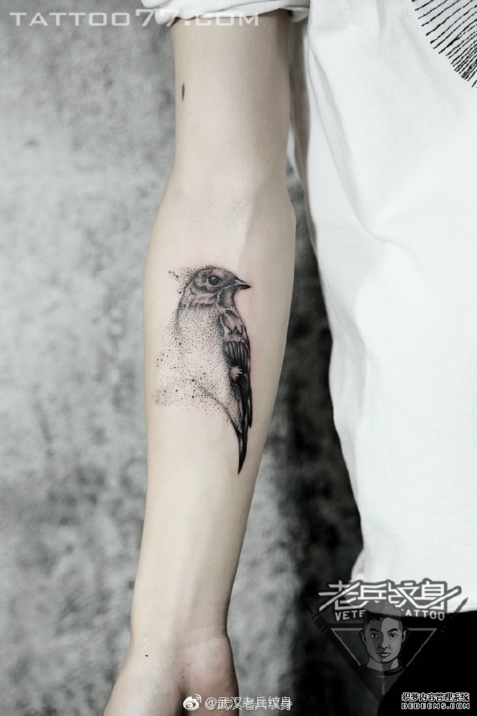 黑灰小鸟手臂tattoo作品