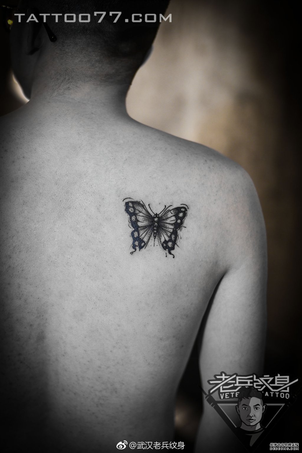 黑灰蝴蝶背部纹身作品