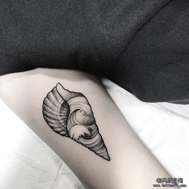 大腿黑灰海螺纹身