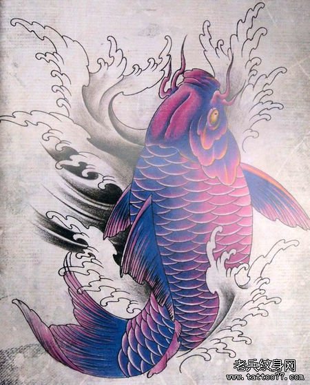 漂亮的彩色鲤鱼纹身手稿_武汉纹身店之家:老兵