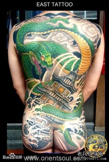 超帅的彩色满背青蛇纹身图案_武汉纹身店之家：老兵