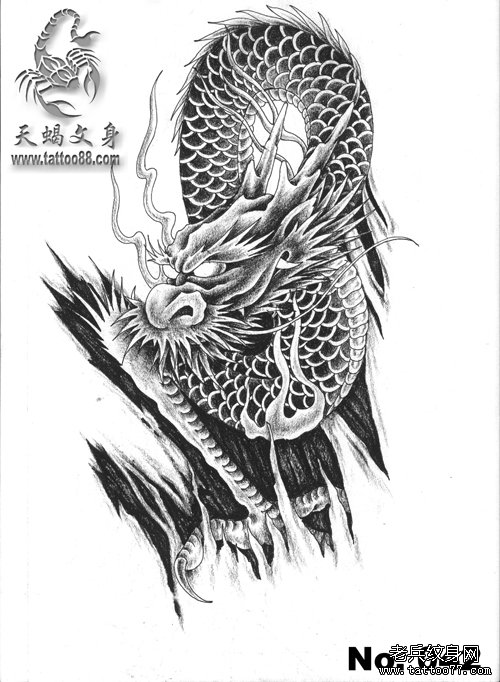 一款霸气经典的撕皮龙纹身手稿_武汉纹身店之