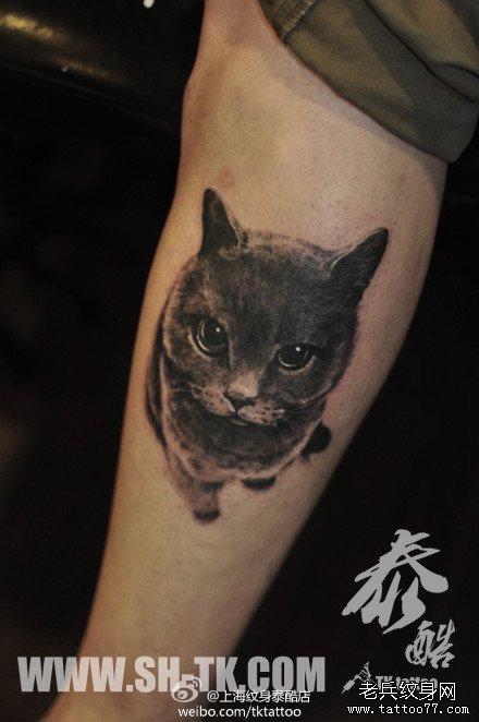 男生腿部经典的黑灰猫咪纹身图案_武汉纹身店