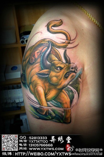 男人手臂经典的一款大黄牛纹身图案_武汉纹身