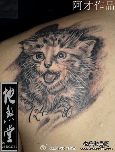 男生后肩背可爱的猫咪纹身图案_武汉纹身店之