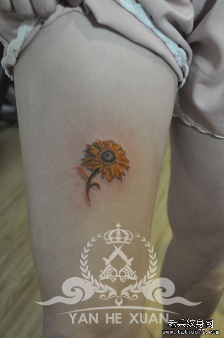 女生腿部彩色小向日葵花纹身图案_武汉纹身店