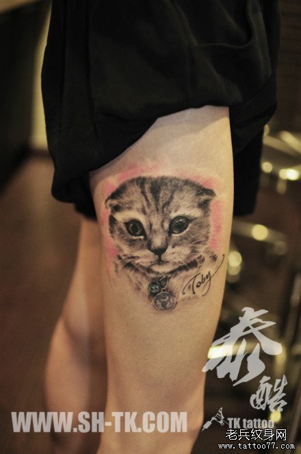 女生腿部呆萌可爱的猫咪纹身图案_武汉纹身店