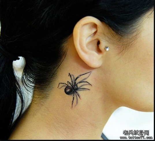 Spider Tattoo Design 14