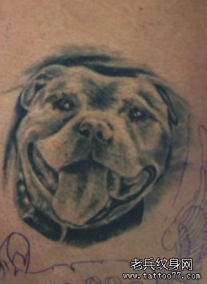 国外一男子用纹身色料与狗狗骨灰混合制作的天