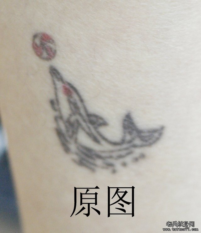 小腿黑色海豚激光洗纹身效果案例_武汉纹身店