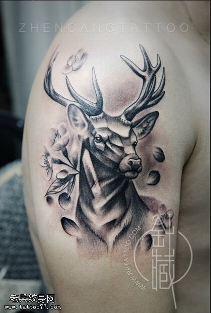 武汉最好的刺青店推荐一款手臂羚羊纹身图案_