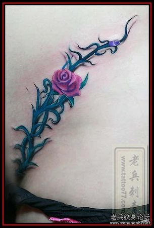 超性感美女腹部私处彩色玫瑰花藤蔓纹身图案纹身图片