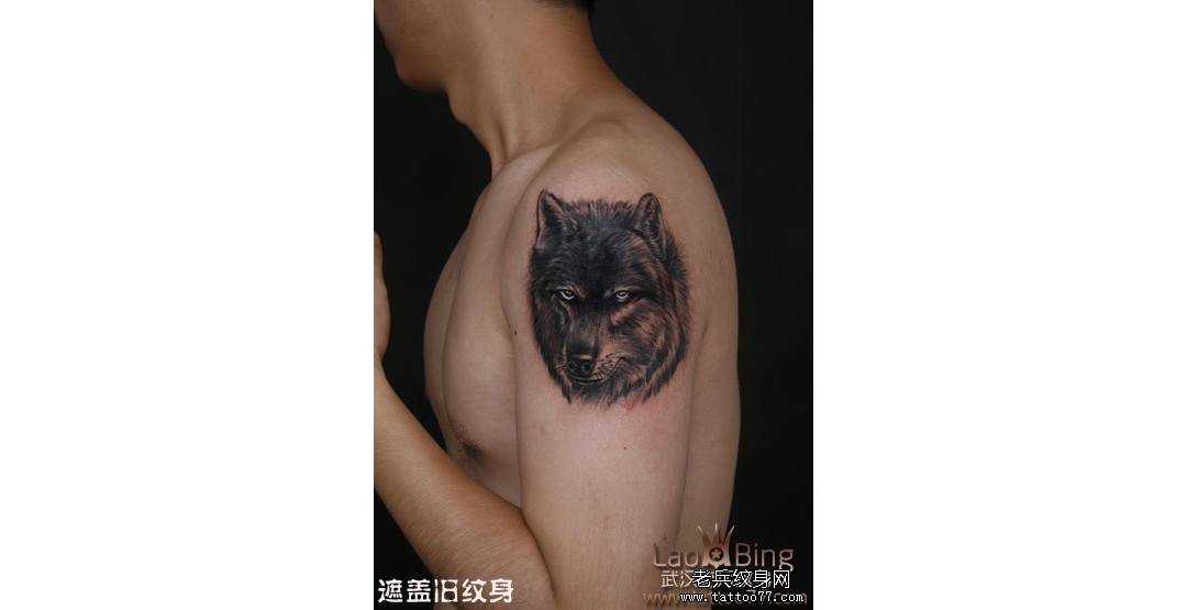 武汉老兵狼头纹身遮盖旧纹身图案作品展示