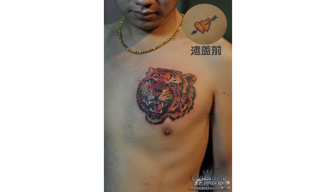 纹身遮盖：重彩老虎头纹身图案作品展示