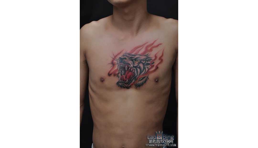 武汉老兵纹身店：胸口虎头纹身图案作品