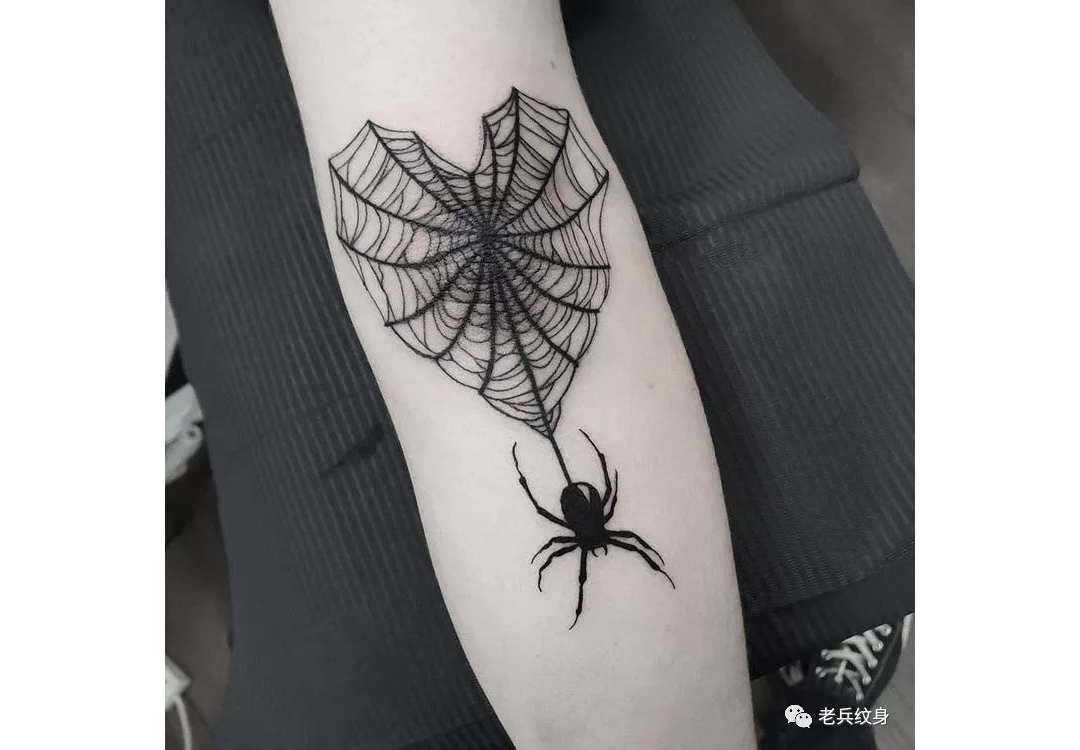 纹身元素丨蜘蛛网
