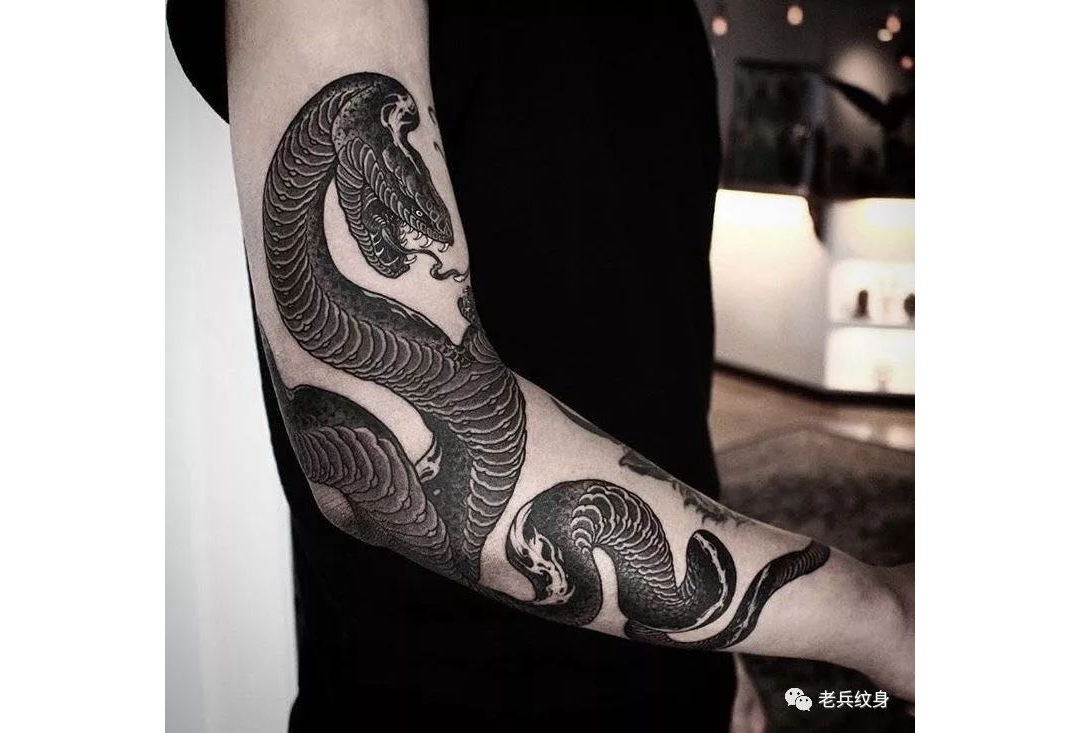 纹身素材第15期：日式蛇