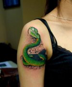 美女手臂艳丽的彩色蛇纹身图案