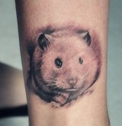 腿部可爱的一款小仓鼠纹身图案