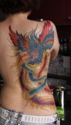 美女背部一款精美的彩色凤凰纹身图案
