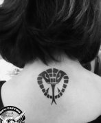 女生背部一款图腾眼镜蛇纹身图案