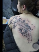 女生背部一款图腾凤凰纹身图案