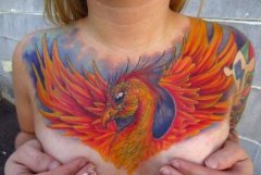 美女胸部超酷的彩色凤凰纹身图案