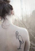 女孩子背部图腾丹顶鹤纹身图案
