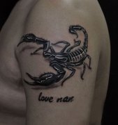 男生手臂欧美风格的蝎子纹身图案