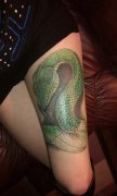 美女腿部一款彩色蛇纹身图案