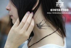 女孩子脖子处好看的图腾燕子纹身图案