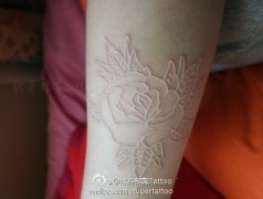 一款白色线条玫瑰花纹身图案