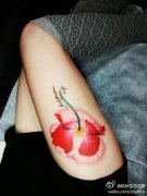 美女腿部漂亮的彩色罂粟花纹身图案