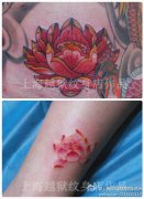 一组漂亮的彩色莲花纹身图案