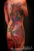 女人背部侧腰到臀部好看的彩色凤凰纹身图案