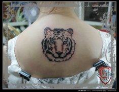女生背部经典的抽象的虎头纹身图案
